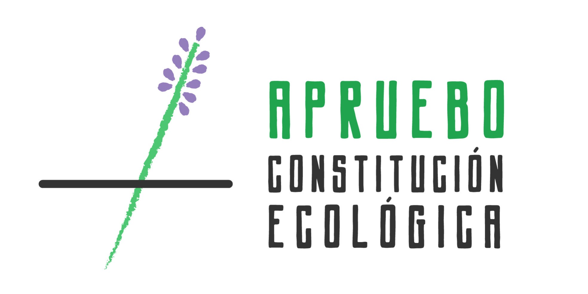 Apruebo-final-13 (1)