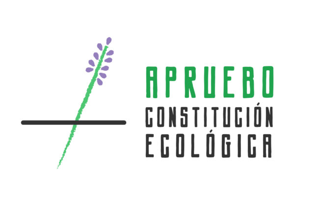 Apruebo-final-13 (1)