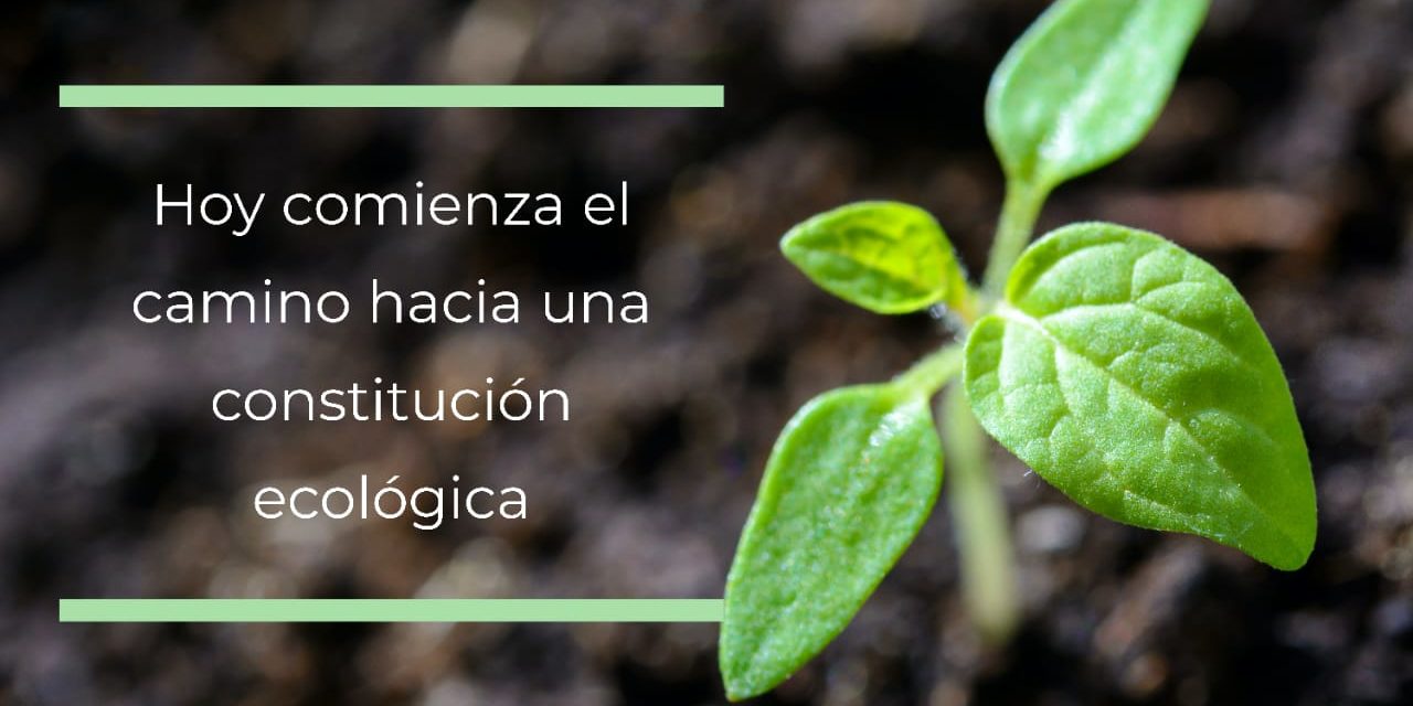 WhatsApp Image 2020-10-30 at 12.09.45 (1)