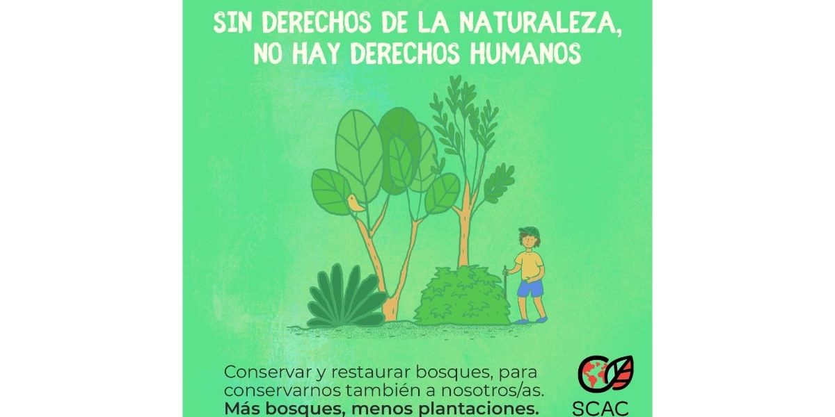 WhatsApp Image 2020-12-10 at 09.43.24 (1)