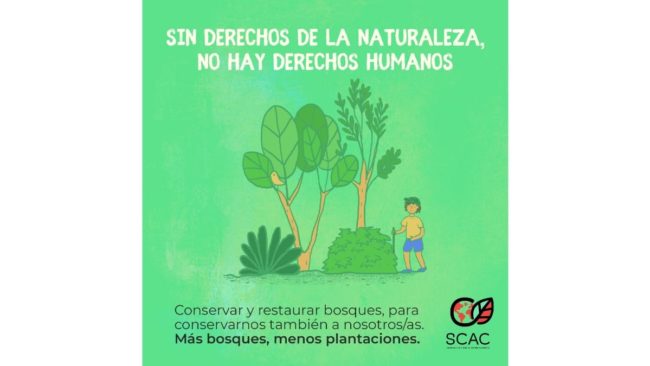 WhatsApp Image 2020-12-10 at 09.43.24 (1)