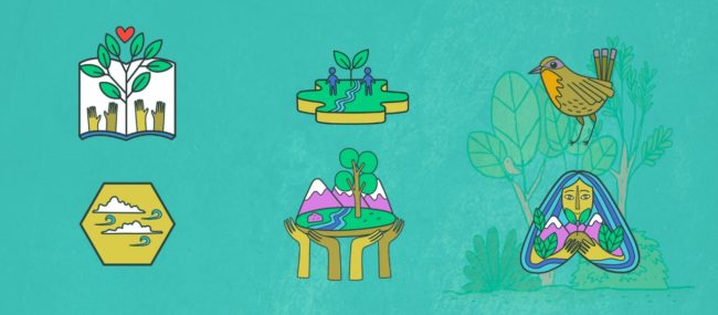 IMAGEN PORTADA WEB SCAC